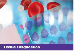 Tissue Diagnostics